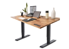 TerraDesk Electric Standing Desk - Black