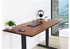 Business Standing Desk (SM) - Walnut on Black