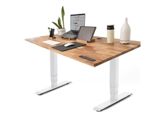 TerraDesk Electric Standing Desk - White