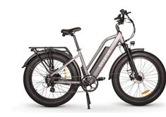 Nomad Electric Bike - Slate