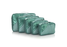 Metallic 5pc. Packing Cube Set - Green
