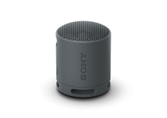 SRS-XB100 Portable Wireless Speaker - Black