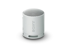 SRS-XB100 Portable Wireless Speaker - Grey